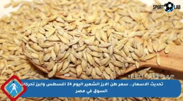 تحديث الأسعار.. سعر طن الأرز الشعير اليوم 24 أغسطس وأبرز تحركات السوق في مصر